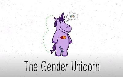 We’ve defined the most vexing of San Francisco’s 130 gender options