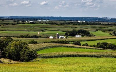 Agricultural Groups, Lawmakers Scramble To Pass Key Farm Bill Before GOP Takes Over House