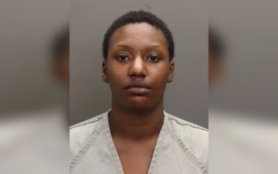Desperate search for one twin still missing after child abuser allegedly steals mom’s car with kids inside