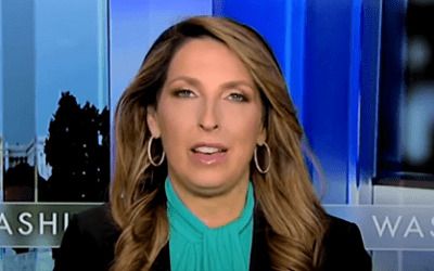 RNC chair paid her opponent nearly $900,000, records show