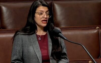 Rashida Tlaib tells climate activists arrested for vandalism, blocking traffic to get ‘much more aggressive’