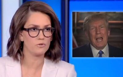 ‘Roll the tape’: Dem strategist becomes frustrated when panelist discusses Trump’s outreach to minorities