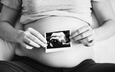 Idaho Supreme Court finds no ‘explicit right’ to abortion, upholds ban
