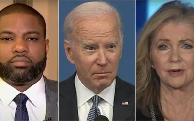 Republicans roar back when Biden called critics of big spending ‘fiscally demented’