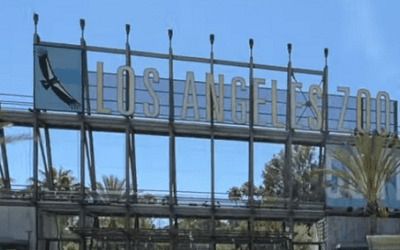 LA Zoo held ‘all ages’ drag show with tickets for ‘children’ and ‘infants’