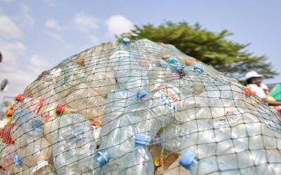 Single-use plastic crisis