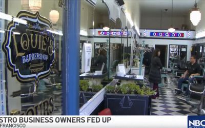 ‘My insurance thinks I’m lying’: Rampant theft is bringing business owners to their knees in one liberal city
