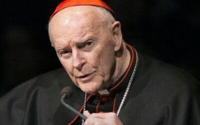 ‘Legally incompetent:’ Former catholic church leader defrocked by Pope Francis asks to wave sex abuse trial