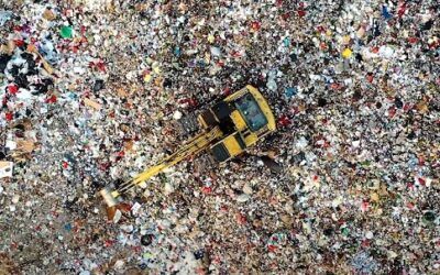 Conservatives should speak up on the environment