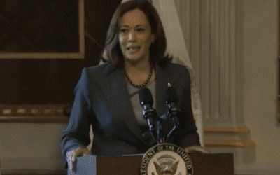 Kamala Harris declares victory in addressing ‘root causes of migration’ amid border surge