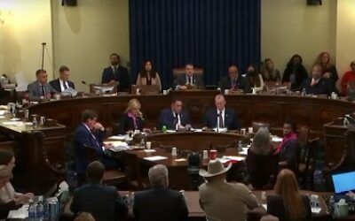 Dem rep uses border hearing to ask sheriff if he believes Trump lost the 2020 election