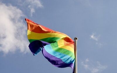 As ‘Pride Month’ ends, taxpayer spending on LGBT projects piles up