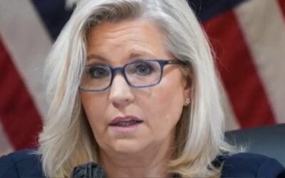 Liz Cheney to become professor at major university
