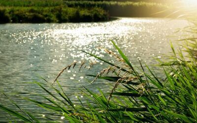 North Dakota judge blocks controversial water rule