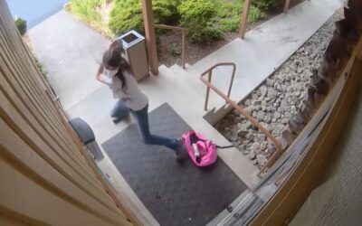 Trans abortion activist looking at zero jail time after attacking church and assaulting members: Report