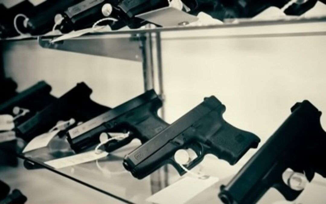Michigan Dems rush gun control through state legislature ahead of Republican house majority