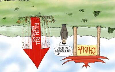 Daily BS political cartoons: Biden poll numbers …