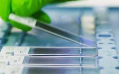 The numbers are in on how Biden-era funding is skewing scientific research ever-wokeward