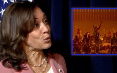 ‘Border czar’ Kamala Harris says crisis ‘going rather smoothly’ but it’s not even her responsibility