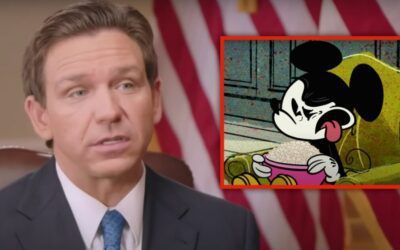 ‘Got too cute by half’: DeSantis says Disney hasn’t ‘made a peep’ about ‘woke’ issues since Fla fought back