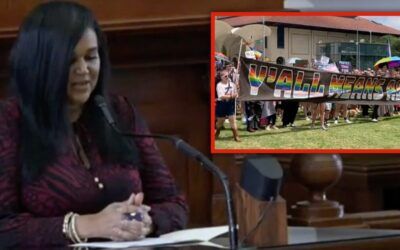 Texas Dem supports ban on ‘gender modification’ for minors, says ‘hostile activists’ now attacking her