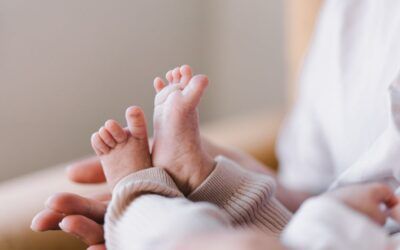 Lawmakers cheer as state signs abortions ‘all the way up to birth’ into law