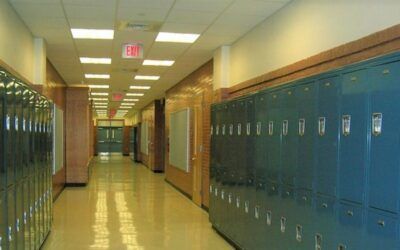 Stan Greer: Swathes of K-12 parents are dumping schools captured by teachers unions