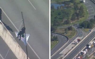 Climate activists try to shut down ports, bridge with their own bodies
