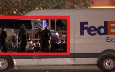 Border officials find illegal migrants packed into fake FedEx vans