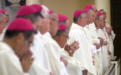 US Bishops set to vote on whether to ban Catholic hospitals from performing sex-change surgeries