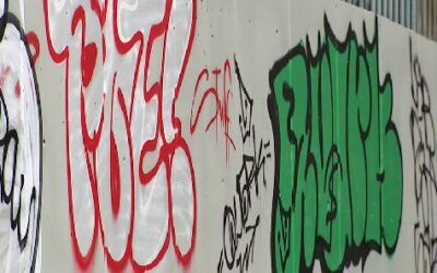 Washington judge blocks police from making vandalism arrests