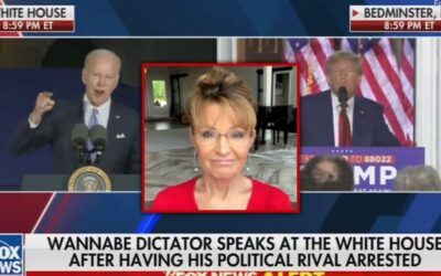 Palin claims Fox canceled appearance after Newsmax comments: ‘Thanks to you, I lost another gig’