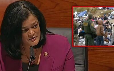 ‘Time to fleece the taxpayers’: Dems unveil bill to eliminate ‘xenophobic’ wait for illegals to get handouts