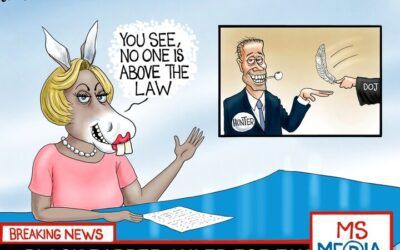 BS daily political cartoons: MS MeDia