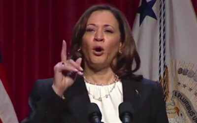 ‘I’m speaking’: Kamala Harris laughs as climate protester yells at her about Hawaii