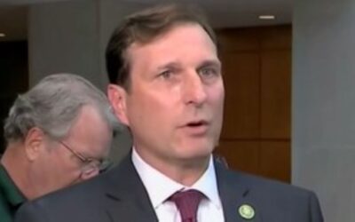 Dem Rep invokes Biden’s dead son to downplay alleged business calls with Hunter