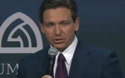 Ron DeSantis: ‘DC elites’ should pay attention to our borders, not Ukraine’s