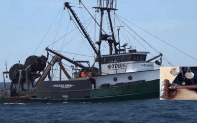 Exclusive: Conservatives urge Supreme Court to tie the hands of unelected bureaucrats fleecing fishermen