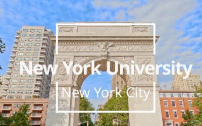 Elite university holds ‘anti-racist’ seminars for white parents only