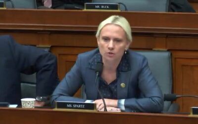 GOP rep blows up at Biden’s DHS chief for ‘smiley face’ answers to border crisis questions