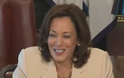 Kamala Harris holds roundtable on combating fentanyl crisis — fails to mention China, Mexico