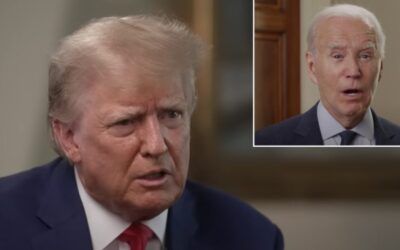 ‘Certainly has been a trend’: Trump continues to beat Biden in national, swing-state polls