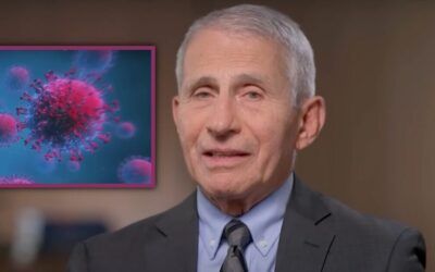 Fmr. State Department investigator doesn’t mince words on new Fauci documents: ‘It’s a cover up’