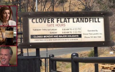 $300M Napa Valley toxic contamination lawsuit filed; Pelosi, Newsom ignored warnings for years