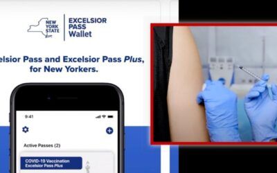 Consultants padded pockets with now-canceled taxpayer-funded $64M New York COVID app