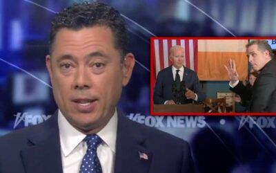 ‘Congress needs to get some guts’ and unify against Biden and his son, says Chaffetz