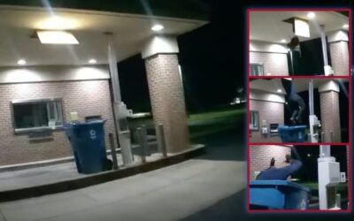 Took itself out: Suspected bank robber falls out of ceiling into trash bin in bizarre bodycam footage