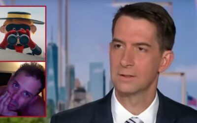Comparing Hunter Biden to Hamburglar, Cotton says Secret Service never asked him about mystery blow