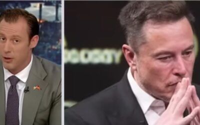 Elon Musk ‘picked a fight with America’ say critics, ‘he has no idea the DARPA rattlesnake he just stepped on’