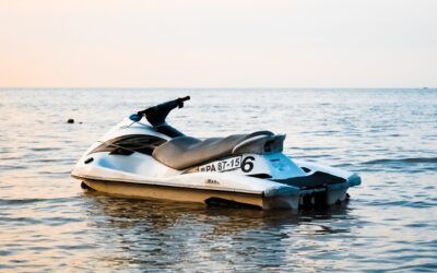 Political dissident flees communist China on jet ski after likening Xi Jinping to Adolf Hitler